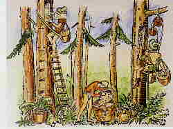 zeidler.jpg (8327 Byte)